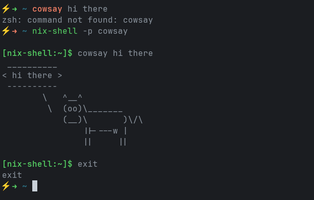 as you can see, cowsay is only available while we are in nix-shell